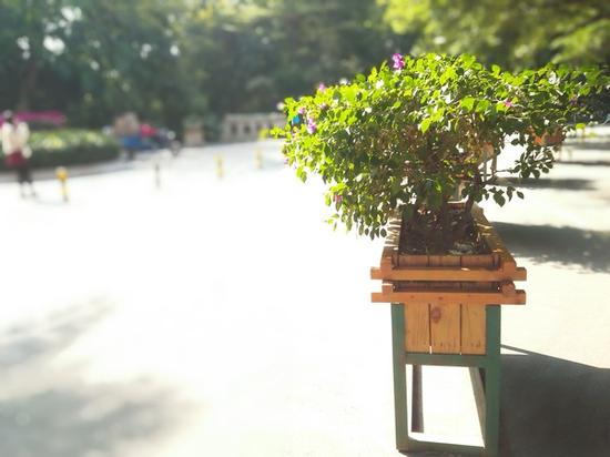 手機(jī)雙攝像頭原來區(qū)別是這么大