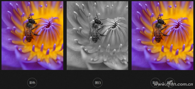 手機(jī)廠商為何青睞&ldquo;群毆戰(zhàn)術(shù)&rdquo;？