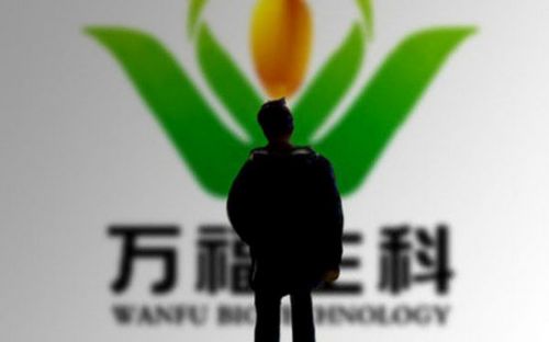 聯(lián)想控股竟成了一家造假上市公司的實(shí)控人 什么情況?