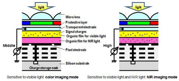 松下展示新款有機傳感器 可同時捕捉可見光與近紅外光