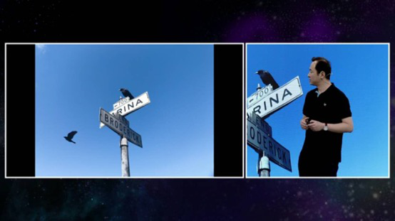 全球首創(chuàng)&ldquo;自學(xué)習(xí)&rdquo;AI生態(tài)系統(tǒng) 樂Pro3雙攝AI版震撼發(fā)布