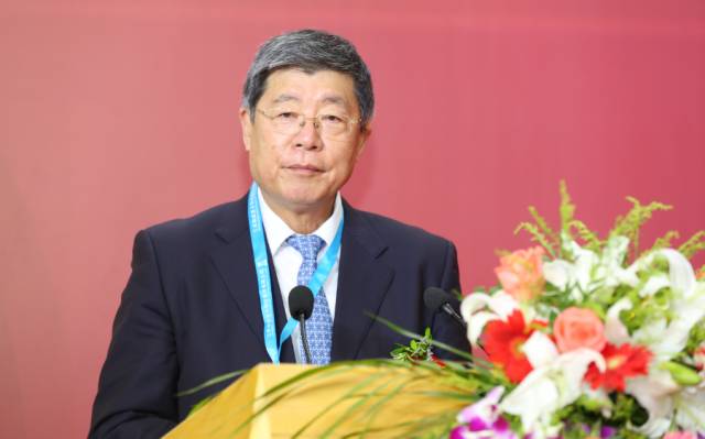 2017上海國際全觸與顯示展今日盛大開幕