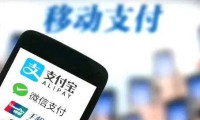 國(guó)內(nèi)移動(dòng)支付市場(chǎng)集中度高