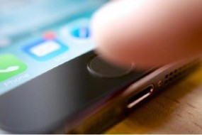 指紋識(shí)別：如何證明你不是一條狗？