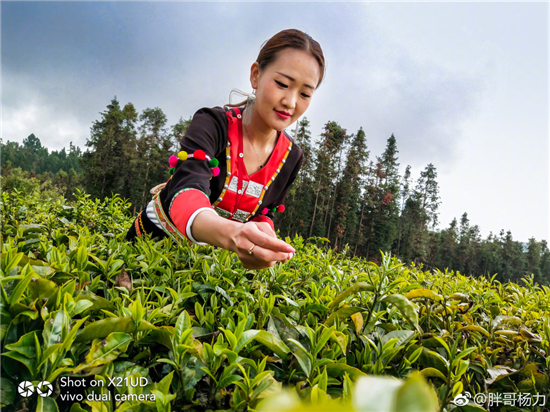 vivo&雷克薩斯騰沖極邊之旅，X21加持開(kāi)啟智能出行新時(shí)代