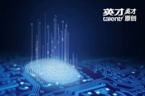 中國芯片產(chǎn)業(yè)深度調(diào)查｜芯片增長哪家強？