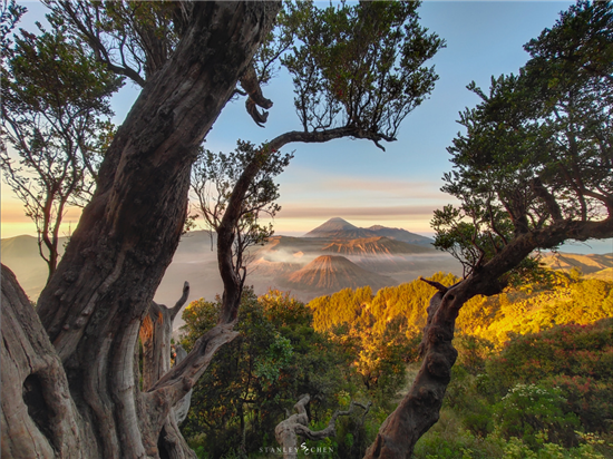 3D幻影極光漸變+靈動(dòng)水滴屏 vivo X23全面開(kāi)售倒計(jì)時(shí)3天 