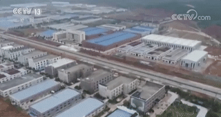 揚(yáng)子鱷保護(hù)區(qū)遭科大訊飛侵占 當(dāng)?shù)毓賳T：誰(shuí)說(shuō)不能占