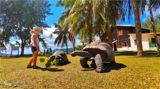 vivo影像尋城記前往塞舌爾 用X23發(fā)現(xiàn)傳說中的“伊甸園”