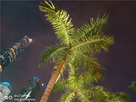 vivo Y93s拍照實測：AI加持，高顏值千元拍照利器