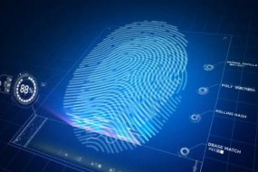 年末回顧：2018年指紋模組出貨量穩(wěn)步增長 價(jià)格不斷下探