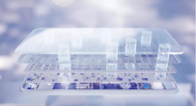 手機(jī)無孔化趨勢爆發(fā):魅族zero與vivo APEX 2019對比