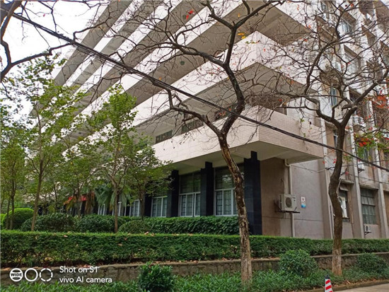 全新vivo S1上手：時尚、實(shí)力完美邂逅，體驗(yàn)超預(yù)期