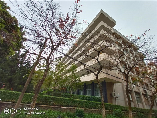 全新vivo S1上手：時尚、實(shí)力完美邂逅，體驗(yàn)超預(yù)期