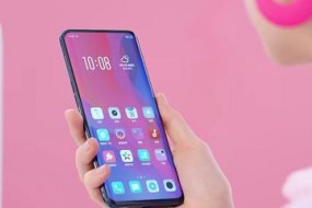 OPPO手機(jī)全球市場(chǎng)表現(xiàn)（2019年2月）