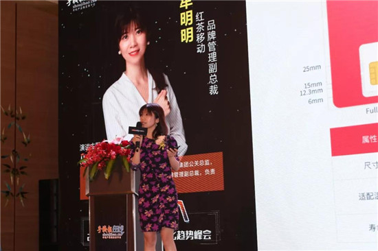 2019可折疊智能終端創(chuàng)新峰會/首屆智能手機(jī)無孔化趨勢峰會圓滿落幕