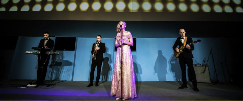 2019國(guó)際新型顯示技術(shù)展