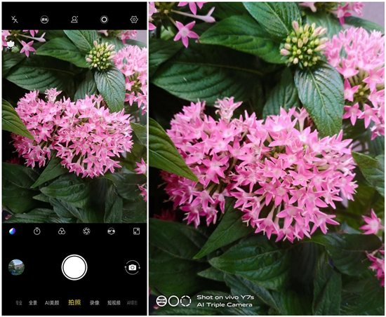vivo Y7s拍照實(shí)測：玩轉(zhuǎn)全場景，打造獨(dú)一無二的儀式感