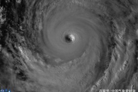 受臺(tái)風(fēng)“海貝思”影響 日本多家公司暫停工廠生產(chǎn)