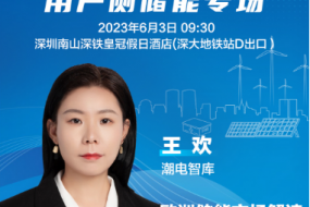 大咖來(lái)襲|潮電智庫(kù)王歡邀您參會(huì)，帶來(lái)歐洲儲(chǔ)能市場(chǎng)解讀